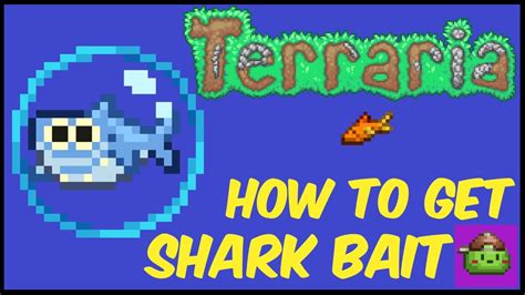 shark bait terraria.